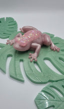 Load image into Gallery viewer, Resin Monstera Deliciosa Leaf Coasters