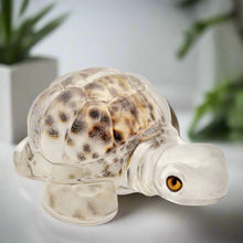 Load image into Gallery viewer, Handcrafted Resin Turtle Featuring a Cowrie Seashell