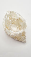Load image into Gallery viewer, Handcrafted Seashell Shaped Resin Trinket Bowls Featuring White & Pearl White Seashells