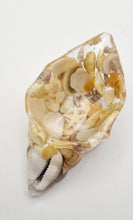 Load image into Gallery viewer, Handcrafted Seashell Shaped Resin Trinket Bowls Featuring Naturally Coloured Seashells #Style B