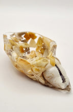 Load image into Gallery viewer, Handcrafted Seashell Shaped Resin Trinket Bowls Featuring Naturally Coloured Seashells #Style B