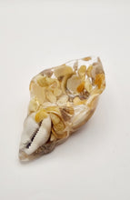 Load image into Gallery viewer, Handcrafted Seashell Shaped Resin Trinket Bowls Featuring Naturally Coloured Seashells #Style B