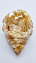 Load image into Gallery viewer, Handcrafted Seashell Shaped Resin Trinket Bowls Featuring Naturally Coloured Seashells #Style A