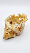 Load image into Gallery viewer, Handcrafted Seashell Shaped Resin Trinket Bowls Featuring Naturally Coloured Seashells #Style A