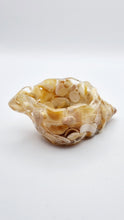 Load image into Gallery viewer, Handcrafted Seashell Shaped Resin Trinket Bowls Featuring Naturally Coloured Seashells #Style A