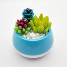 Load image into Gallery viewer, Succulent Mini Pots & Mini Gardens