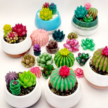 Load image into Gallery viewer, Succulent Mini Pots & Mini Gardens