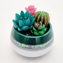 Load image into Gallery viewer, Succulent Mini Pots & Mini Gardens