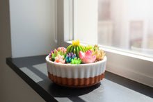 Load image into Gallery viewer, Succulent Mini Pots & Mini Gardens