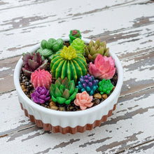 Load image into Gallery viewer, Succulent Mini Pots & Mini Gardens