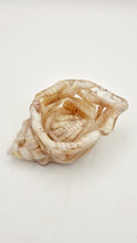 Load image into Gallery viewer, Handcrafted Seashell Shaped Resin Trinket Dish Featuring Turritella Seashells