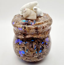 Load image into Gallery viewer, Seashell Honey Pot Trinket Jar