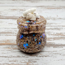 Load image into Gallery viewer, Seashell Honey Pot Trinket Jar
