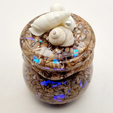 Load image into Gallery viewer, Seashell Honey Pot Trinket Jar