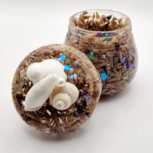 Load image into Gallery viewer, Seashell Honey Pot Trinket Jar