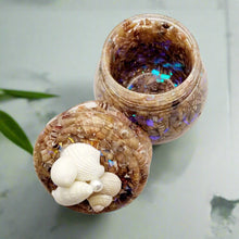 Load image into Gallery viewer, Seashell Honey Pot Trinket Jar