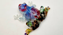 Load image into Gallery viewer, An Aquarium 'Froggy Friday' Frog