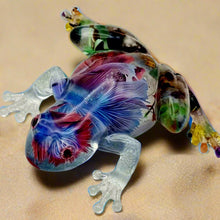 Load image into Gallery viewer, An Aquarium 'Froggy Friday' Frog