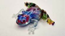 Load image into Gallery viewer, An Aquarium 'Froggy Friday' Frog