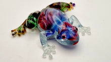 Load image into Gallery viewer, An Aquarium 'Froggy Friday' Frog