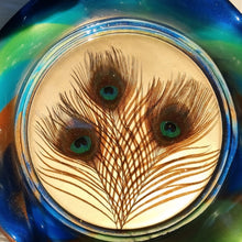 Load image into Gallery viewer, Large IntoResin Peacock Feather Bowl