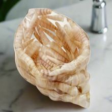 Load image into Gallery viewer, Handcrafted Seashell Shaped Resin Trinket Dish Featuring Turritella Seashells