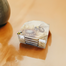 Load image into Gallery viewer, Honey Bee Coasters & Coaster Holder Set