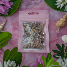 Load image into Gallery viewer, Mixed Packet of 250 Spiral Cone Seashells Ideal For Resin Art or Multi Crafts