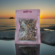 Load image into Gallery viewer, Mixed Packet of 250 Spiral Cone Seashells Ideal For Resin Art or Multi Crafts