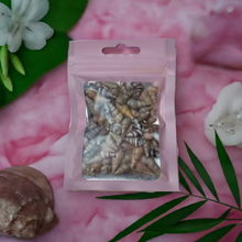 Load image into Gallery viewer, Mixed Packet of 250 Spiral Cone Seashells Ideal For Resin Art or Multi Crafts