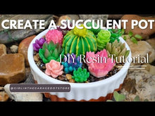 Load and play video in Gallery viewer, Succulent Mini Pots & Mini Gardens