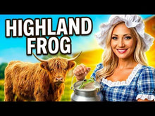 Load and play video in Gallery viewer, Highland Cow 'Froggy Friday' Resin Frog Figurine