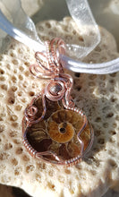 Load image into Gallery viewer, Rose Gold Swirly Beaded Ammonite Fossil Pendant