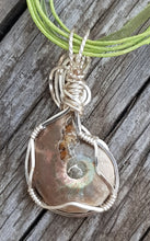 Load image into Gallery viewer, Back