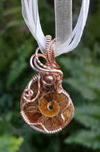 Load image into Gallery viewer, Rose Gold Swirly Beaded Ammonite Fossil Pendant