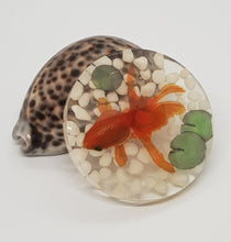 Load image into Gallery viewer, Set of 5 x White 3D Goldfish Resin Coasters