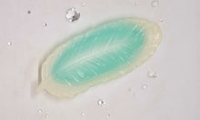 Load image into Gallery viewer, Sparkly Feather Trinket Dishes