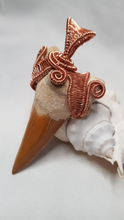Load image into Gallery viewer, Copper Woven Otudus Shark Tooth Pendant