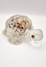 Load image into Gallery viewer, Handcrafted Resin Turtle Featuring a Cowrie Seashell
