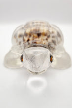 Load image into Gallery viewer, Handcrafted Resin Turtle Featuring a Cowrie Seashell
