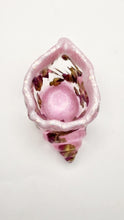 Load image into Gallery viewer, Handcrafted Seashell Shaped Resin Trinket Bowls Featuring Red Rose Buds
