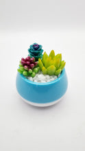 Load image into Gallery viewer, Succulent Mini Pots &amp; Mini Gardens
