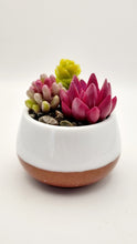 Load image into Gallery viewer, Succulent Mini Pots &amp; Mini Gardens
