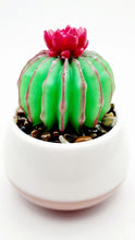 Load image into Gallery viewer, Succulent Mini Pots &amp; Mini Gardens
