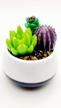 Load image into Gallery viewer, Succulent Mini Pots &amp; Mini Gardens
