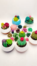 Load image into Gallery viewer, Succulent Mini Pots &amp; Mini Gardens
