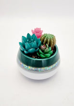 Load image into Gallery viewer, Succulent Mini Pots &amp; Mini Gardens
