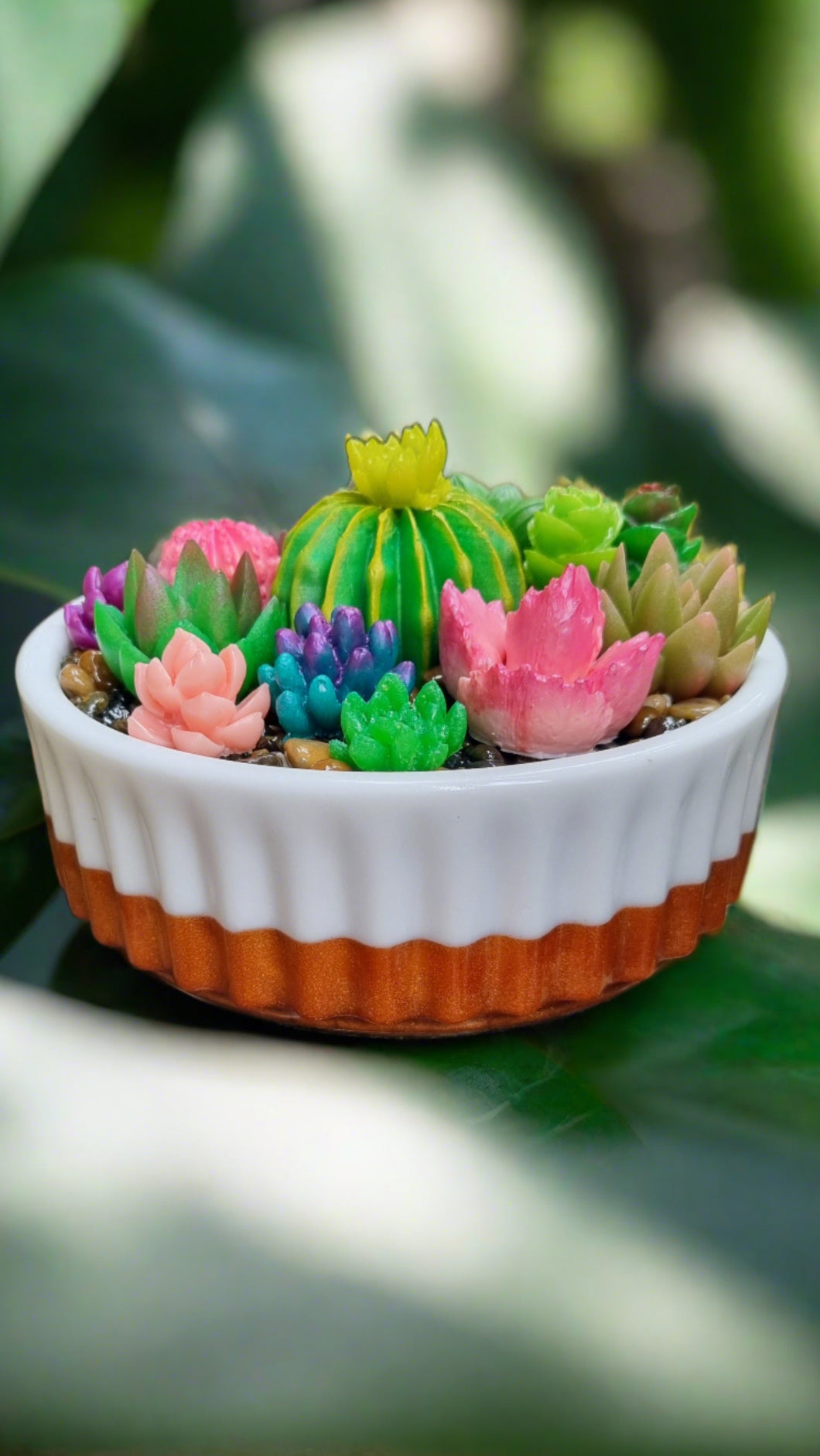 Succulent Mini Pots & Mini Gardens