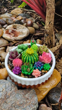 Load image into Gallery viewer, Succulent Mini Pots &amp; Mini Gardens
