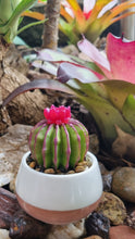 Load image into Gallery viewer, Succulent Mini Pots &amp; Mini Gardens
